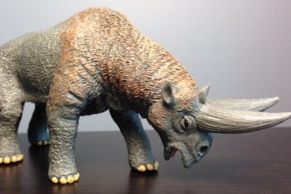 �����ؽ�����ʲô���� �����ؽ��޵������ж��