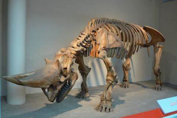 �����ؽ�����ʲô���� �����ؽ��޵������ж��