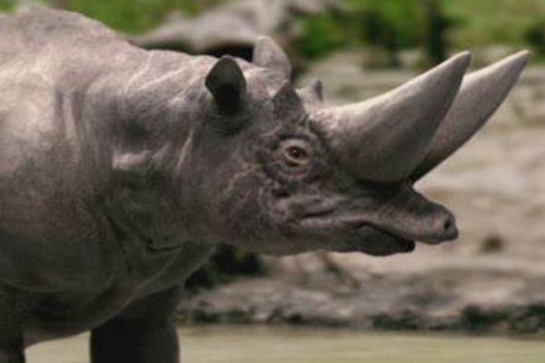 �����ؽ�����ʲô���� �����ؽ��޵������ж��