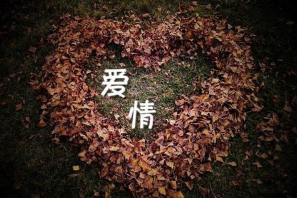 442235����ʲô��˼?г��ʱʱ�̿�����(����İ������)