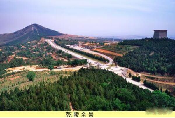 �������ĹΪʲôû�˸��� �ھ�������Ĺ�Ĺ�����