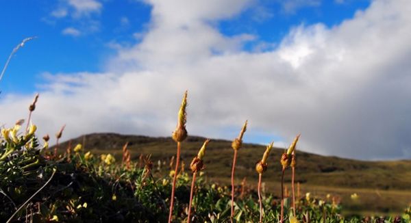 ���������ϼ�� ������½�����Ǻ���