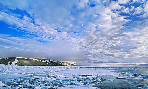 ���������ϼ�� ������½�����Ǻ���