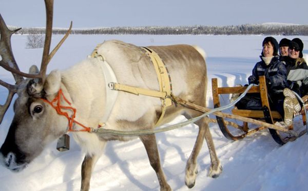 ���������ϼ�� ������½�����Ǻ���