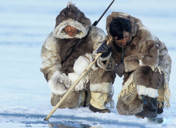 ���������ϼ�� ������½�����Ǻ���