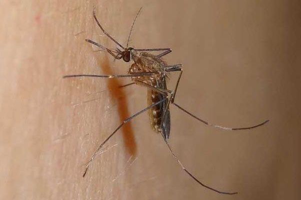 ���������������˻������� ����������Ӳ�������ȥ����