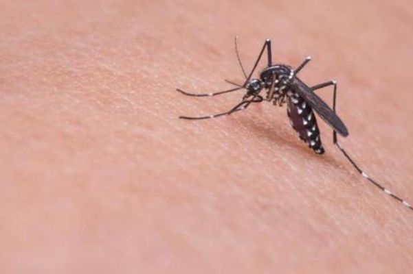 ���������������˻������� ����������Ӳ�������ȥ����