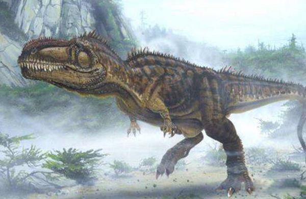 ������vs������˭������ �����Ӵ�������ʳ����