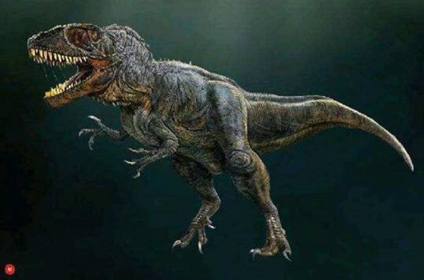 ������vs������˭������ �����Ӵ�������ʳ����