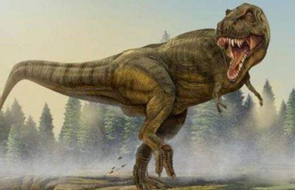 ������vs������˭������ �����Ӵ�������ʳ����