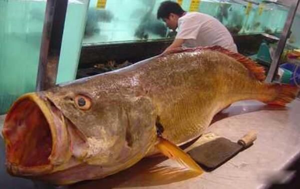 ��Ǯ�������Ǯһ�� ��Ǯ����Ϊʲô��ô����ʲô��Ч