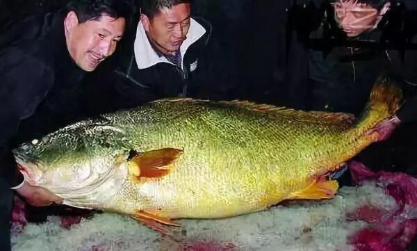 ��Ǯ�������Ǯһ�� ��Ǯ����Ϊʲô��ô����ʲô��Ч