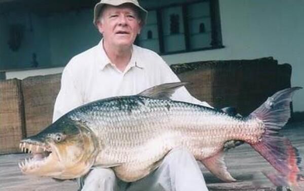 ��Ǯ�������Ǯһ�� ��Ǯ����Ϊʲô��ô����ʲô��Ч