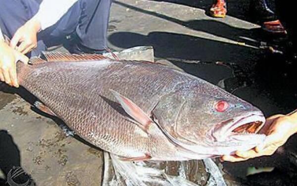 ��Ǯ�������Ǯһ�� ��Ǯ����Ϊʲô��ô����ʲô��Ч