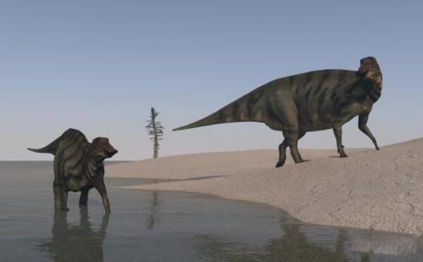 ˫������ʲô���� �й��Ĵ��Ϳ����峤������