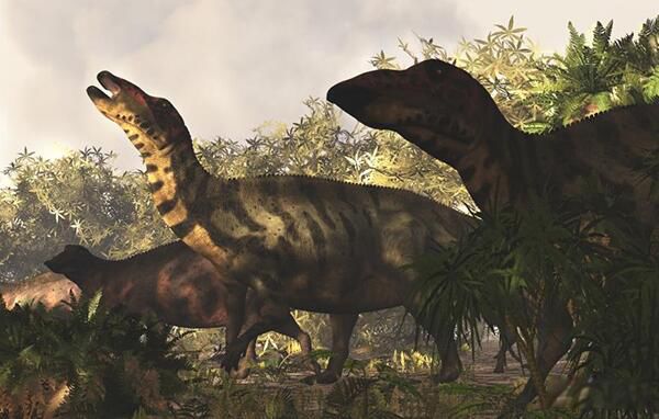 ˫������ʲô���� �й��Ĵ��Ϳ����峤������