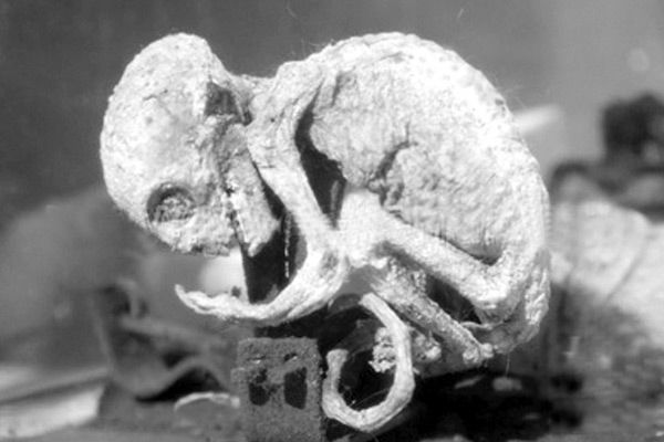 ��������Ĵ����� ����˽�5���������¼�