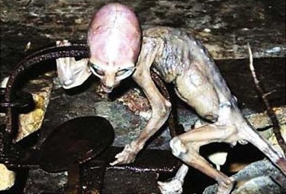 ��������Ĵ����� ����˽�5���������¼�