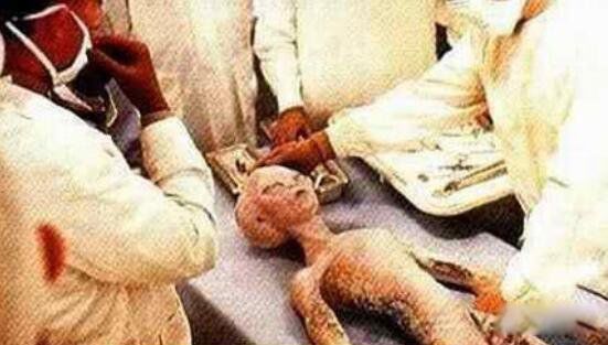 ��������Ĵ����� ����˽�5���������¼�