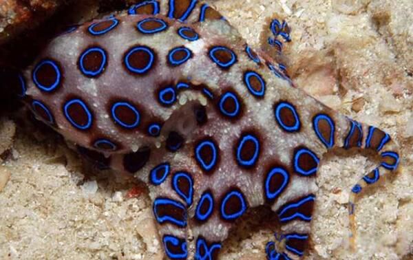 �����������ǰ�����˭? ��������ҧ���Ǳ���������