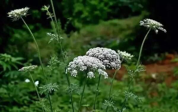 �����������ǰ�����˭? ��������ҧ���Ǳ���������