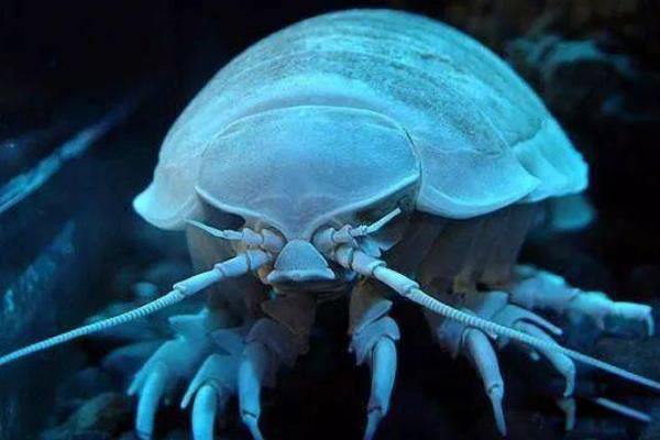 �����������Գ��� �������ʭ����Ǯһֻ