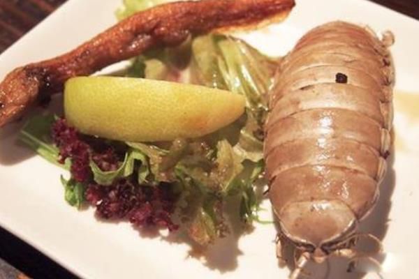 �����������Գ��� �������ʭ����Ǯһֻ