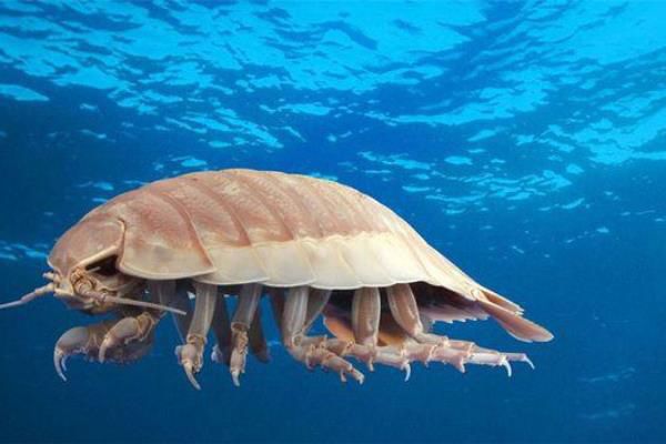 �����������Գ��� �������ʭ����Ǯһֻ