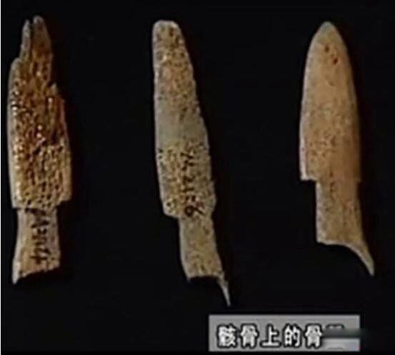 ��ڹ�����ʲô��˼ 7300����ڹ���Ĺ��¼��