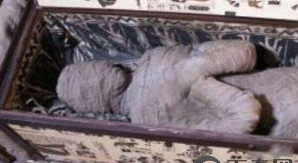 亚曼拉公主的诅咒是什么 10年间20人因诅咒而亡