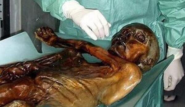 亚曼拉公主的诅咒是什么 10年间20人因诅咒而亡