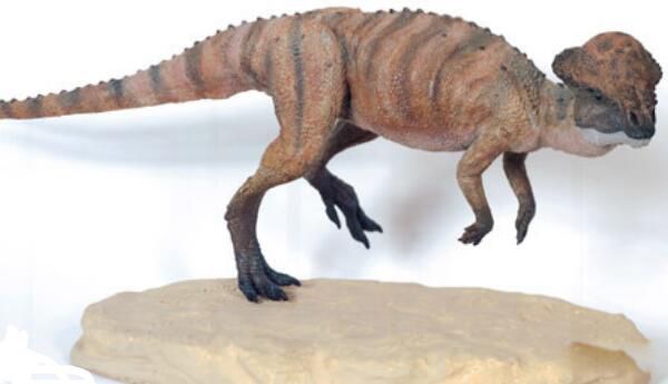 �������������� ��������ʲô��ͼƬ