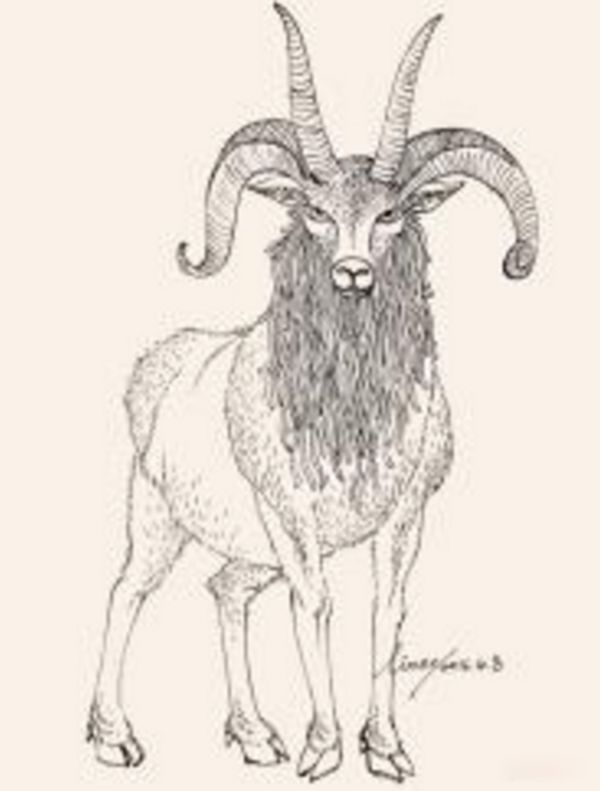 土蝼是什么神兽怎么读 传说是个力大无穷的怪物