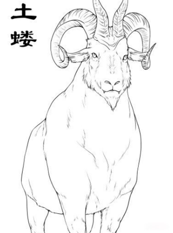 土蝼是什么神兽怎么读 传说是个力大无穷的怪物