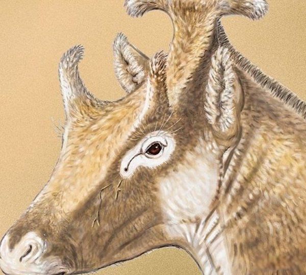 ̫�Ŵ�ʮ��ֲ����� ���������ع귢���ڸ��ױ���