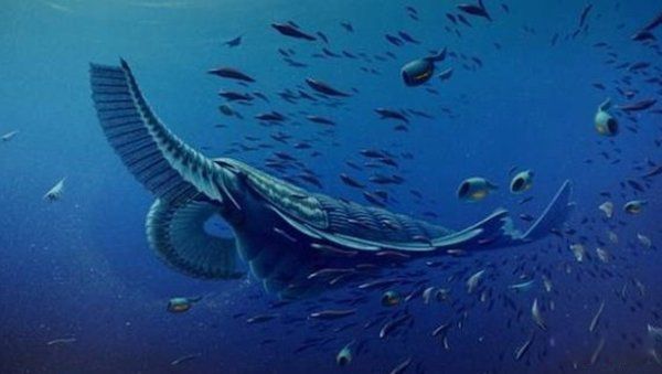 ̫�Ŵ�ʮ��ֲ����� ���������ع귢���ڸ��ױ���