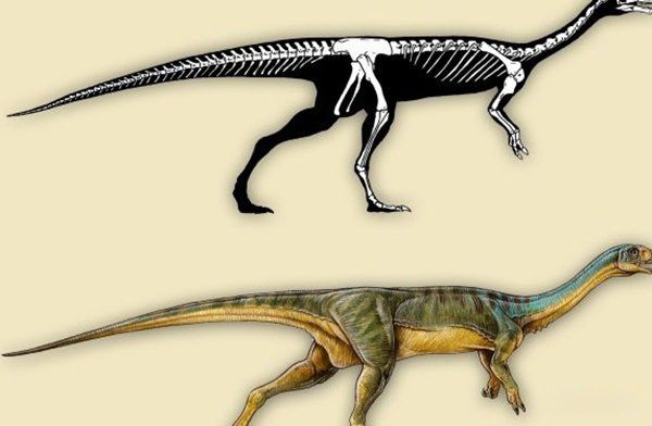 ̫�Ŵ�ʮ��ֲ����� ���������ع귢���ڸ��ױ���