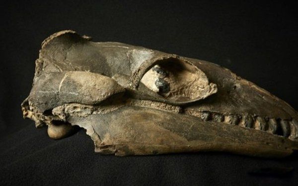 ̫�Ŵ�ʮ��ֲ����� ���������ع귢���ڸ��ױ���