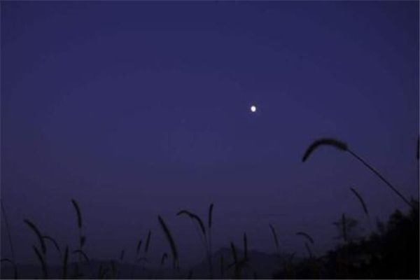 ��������δ��֮�� ȫ��ʮ����������������