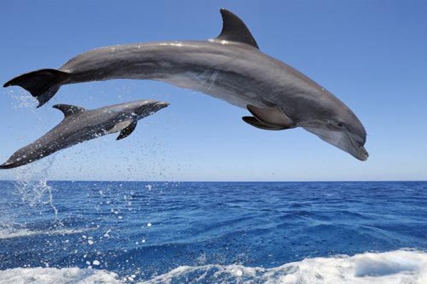 �캽�������ж���� �캽��Ϊʲô���캽��