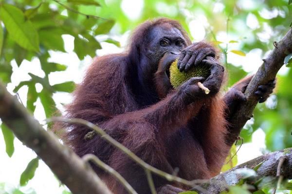 ��ë���ɵ��������� ��Ϊ��������,������ʲô������