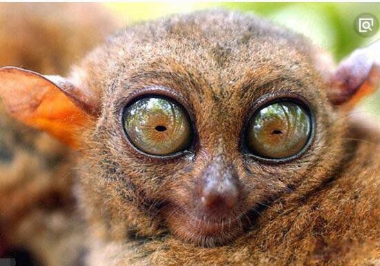 �������صĶ������а�ǰʮ ��������¹�����������