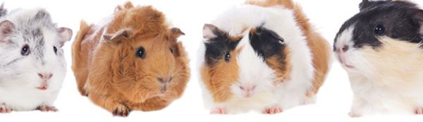 ��������������� ��������ʲô��˼������