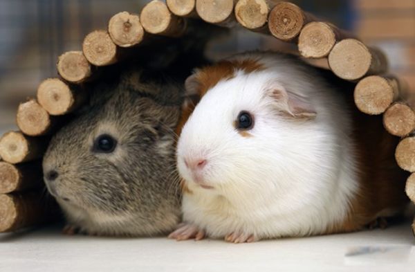 ��������������� ��������ʲô��˼������