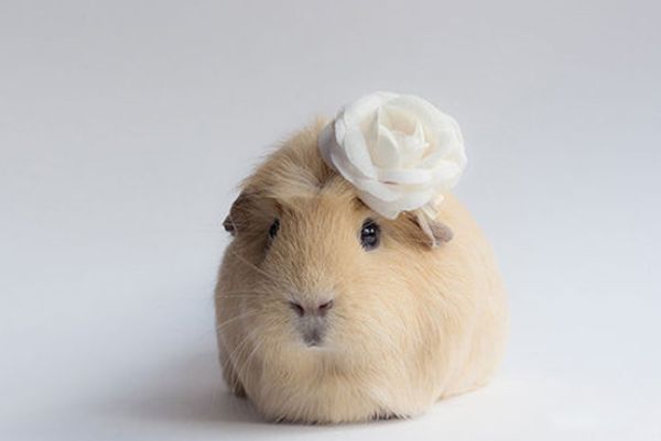 ��������������� ��������ʲô��˼������