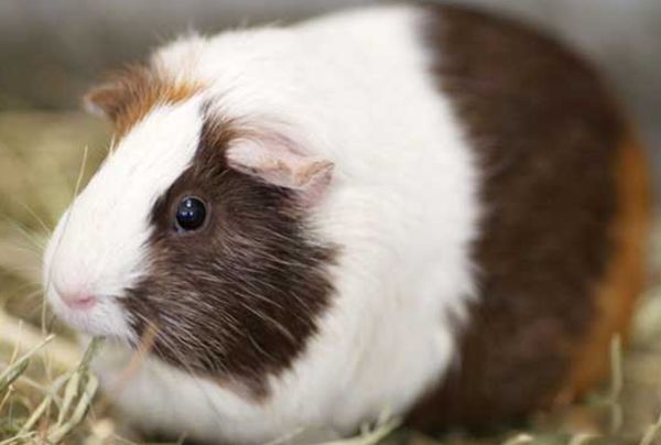 ��������������� ��������ʲô��˼������