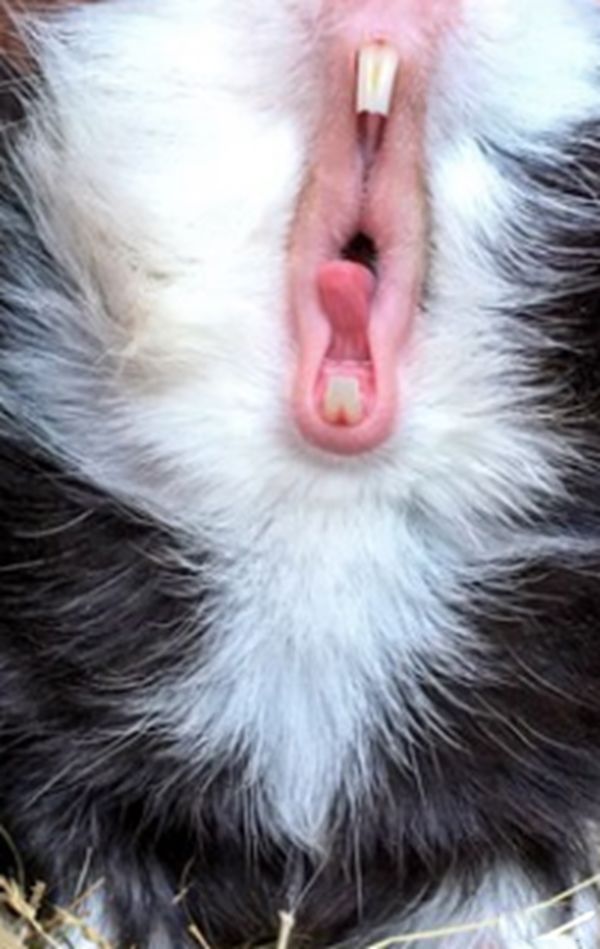 ��������������� ��������ʲô��˼������