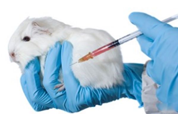 ��������������� ��������ʲô��˼������