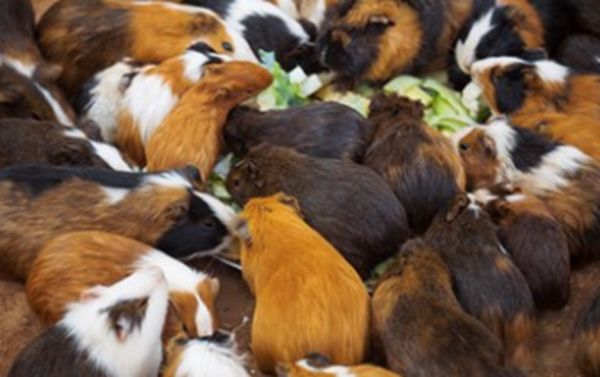 ��������������� ��������ʲô��˼������