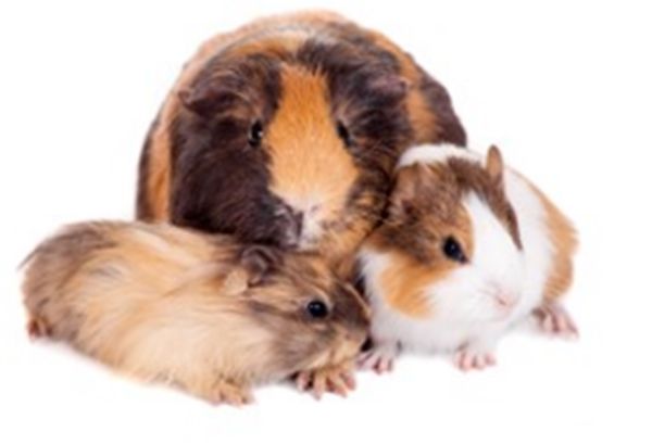 ��������������� ��������ʲô��˼������